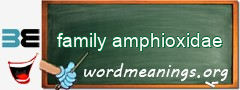 WordMeaning blackboard for family amphioxidae